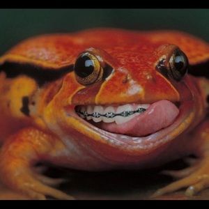 Meet your Posher, Dushka